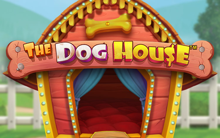 The Dog House